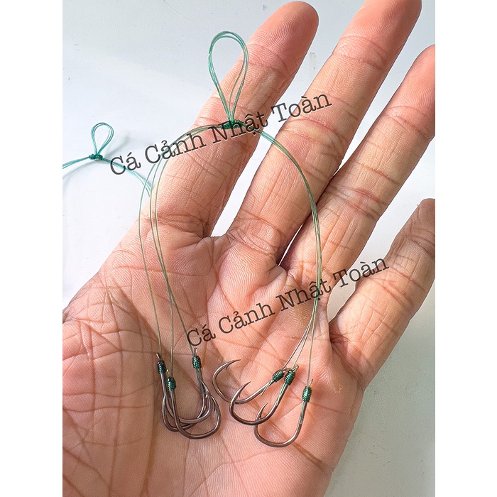 CHÙM NHO 4, NHO 6 LÀM SẴN CÂU CÁ
