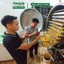 Trà Hoa Vàng Sấy Thăng Hoa Nguyên Bông Hàng Vip - Đặc Sản Rừng Tây Yên Tử, Dùng Làm Quà Tặng