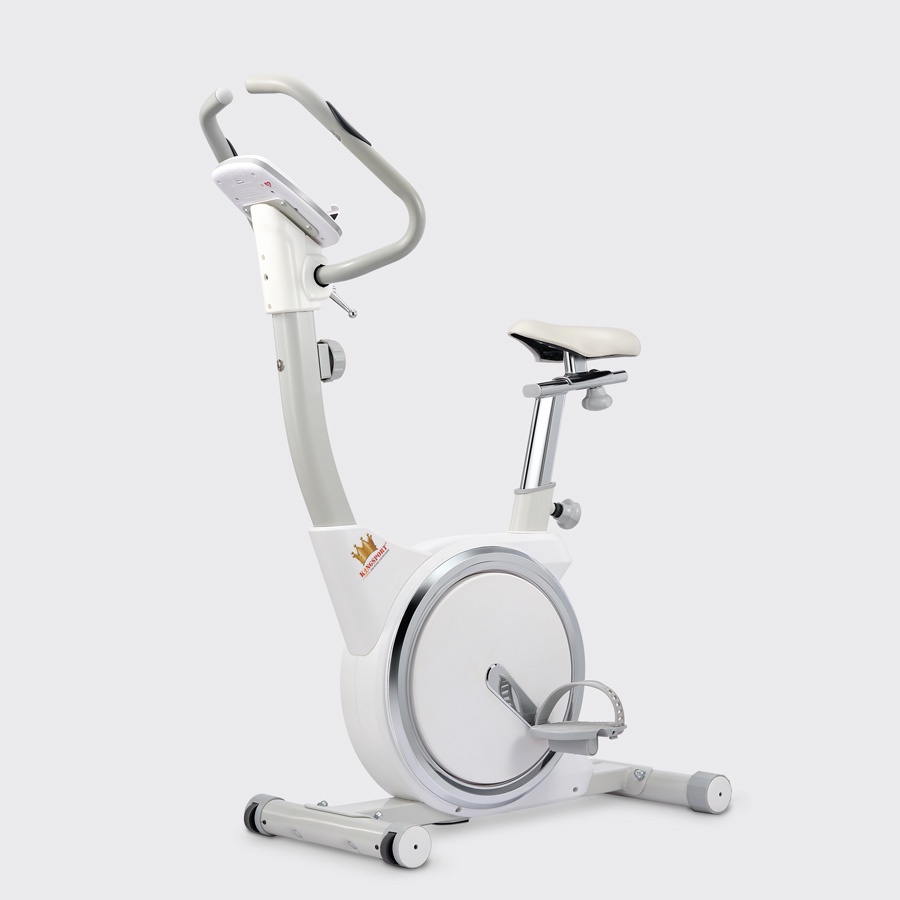 Xe đạp tập KINGSPORT KS-102 thiết kế hiện đại, kháng lực đa cấp độ, đồng hồ thông minh