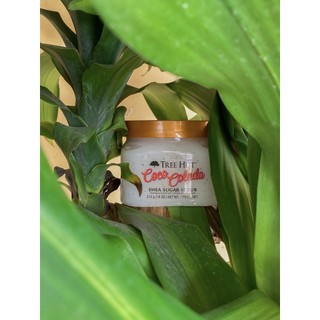 Tẩy Tế Bào Chết Cơ Thể Tree Hut Hương Dừa Và Đánh Bay Các Tế Bào Chết