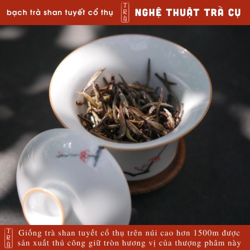 Bạch Trà Shan Tuyết Hà Giang Thượng Phẩm, Vụ Xuân 2023, Đóng hộp thiếc 100gr