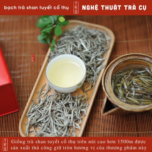 Bạch Trà Shan Tuyết Hà Giang Thượng Phẩm, Vụ Xuân 2023, Đóng hộp thiếc 100gr
