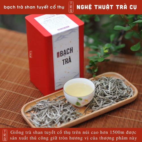 Bạch Trà Shan Tuyết Hà Giang Thượng Phẩm, Vụ Xuân 2023, Đóng hộp thiếc 100gr