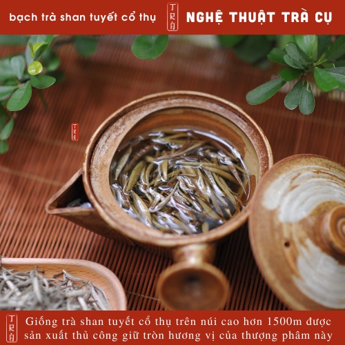 Bạch trà shan tuyết cổ thụ đóng hộp thiếc 100gr