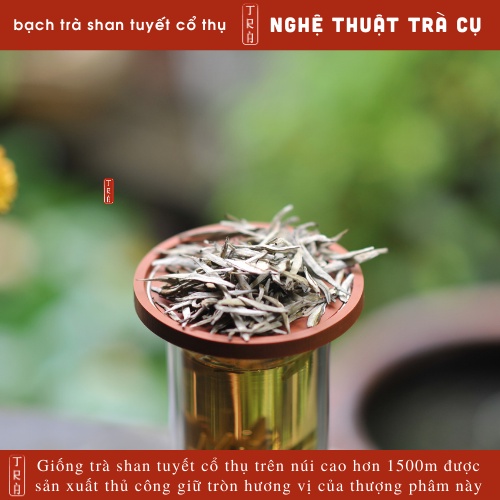 Bạch trà shan tuyết cổ thụ đóng hộp thiếc 100gr