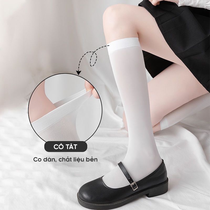 Tất vớ nữ 3 chiều cao chất liệu thun lạnh co giãn thoáng khí, phong cách Loli đáng yêu - Ekiu Shop