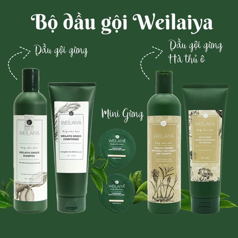 Dầu gội và dầu xả Weilaiya Ginger phục hồi tóc