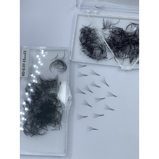 Mi fan 6D LASHES SUPPLY độ cong C - CC - D, độ dày 0.10 1 hộp 1000 fan - dụng cụ nối mi