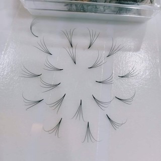 Mi fan 4D độ cong C - CC - D, độ dày 0.7 - 1 hộp 1000 fan - dụng cụ nối mi