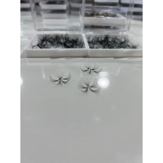 Mi fan 12D độ cong C - CC - D, độ dày 0.5 - 1 hộp 1000 fan - dụng cụ nối mi
