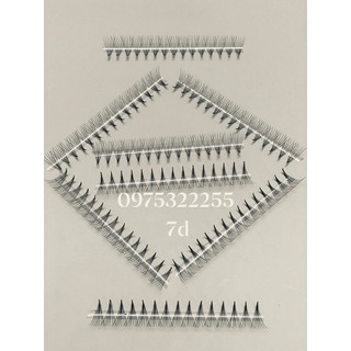 Mi fan LINE 7D độ cong C - CC - D, độ dày 0.7 - 1 hộp 1000 fan - dụng cụ nối mi
