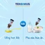 Men vi sinh 10 chủng Tenbimus giảm táo bón tiêu chảy rối loạn tiêu hóa nôn trớ