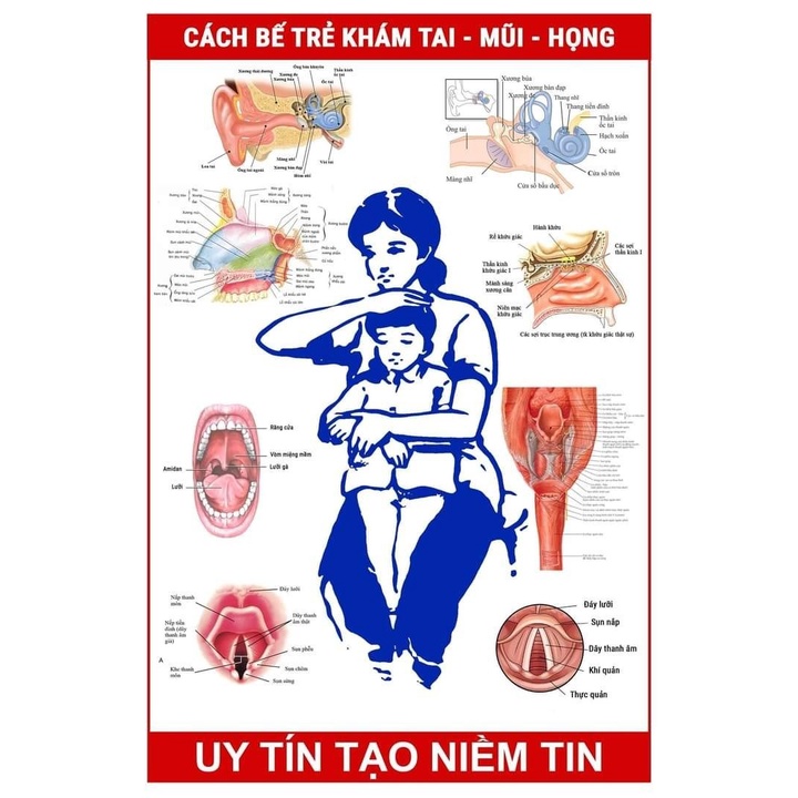 Tư Thế Bế Trẻ Khám Tai Mũi Họng: Hướng Dẫn Chi Tiết Cho Phụ Huynh