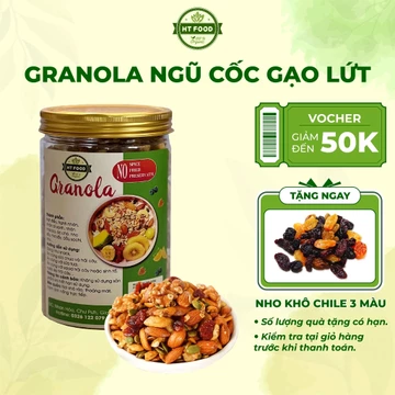 Granola ngũ cốc siêu gạo lứt phù hợp ăn kiêng, ăn sáng, ăn vặt cân bằng dinh dưỡng - HT FOOD