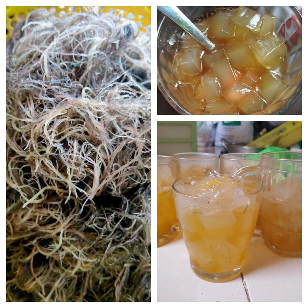 Rau câu biển nấu thạch rau câu (xu xoa) | Shopee Việt Nam