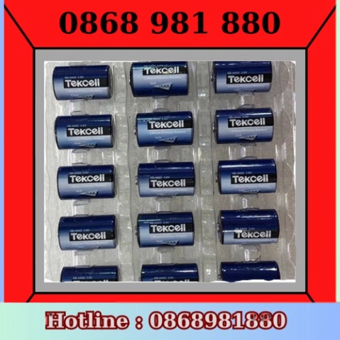 [Chính Hãng] Pin nuôi nguồn Tekcell SB-AA02 3.6V | Shopee Việt Nam