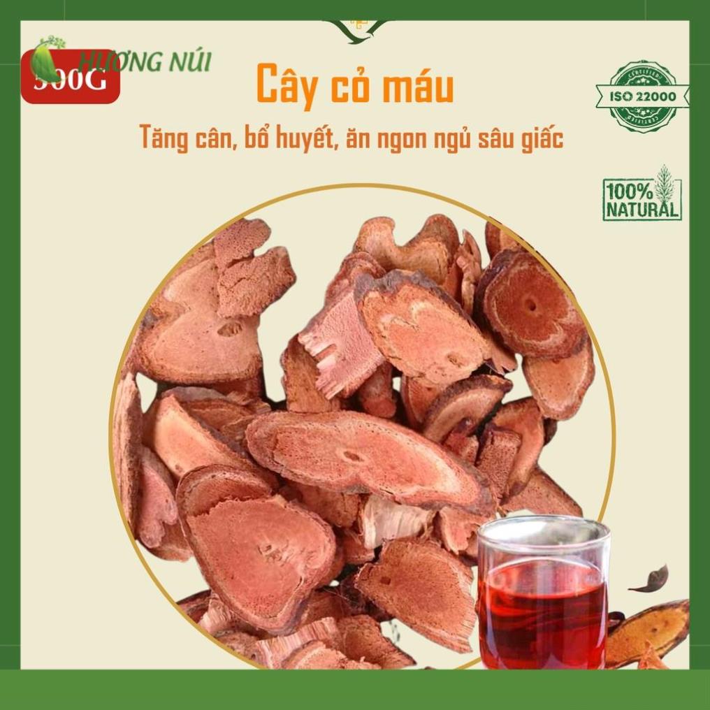 CỎ MÁU TĂNG CÂN BỔ HUYẾT bổ máu tăng cân, B…