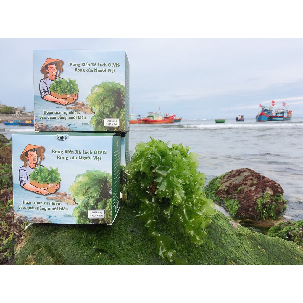 Rong Xà Lách Ulva Lactuca sấy lạnh hộp 100g - Rong biển Lý Sơn chính ...