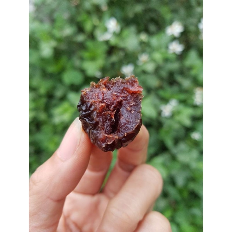 Mận Hậu Sấy Dẻo không hạt [180gam] đặc sản Mộc Châu