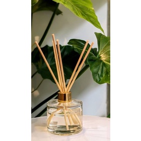 BỘ KHUẾCH TÁN TINH DẦU CHÍNH HÃNG ALENEZ