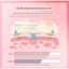 Sữa tắm Image Beauty Peach Fragrance Hương thơm kéo dài cải thiện tình trạng xoăn cứng dưỡng ẩm và làm sạch bụi bẩn