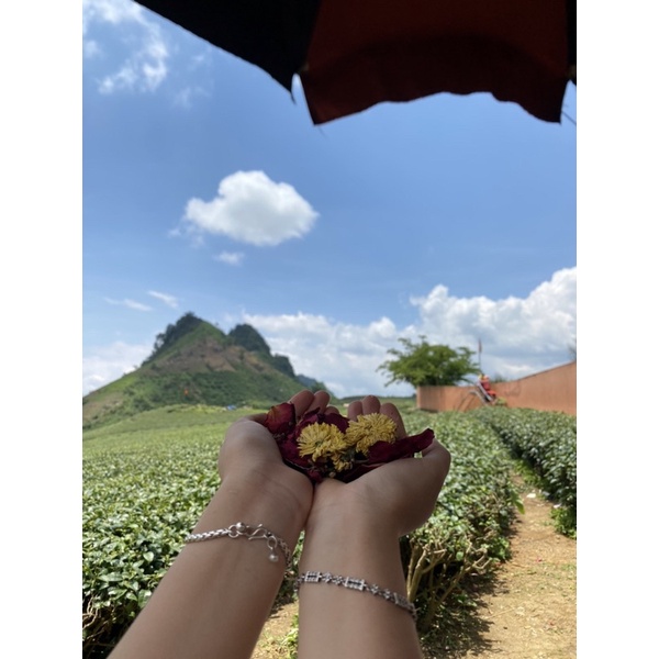 Trà Thảo Mộc 500gr - Trà Hoa