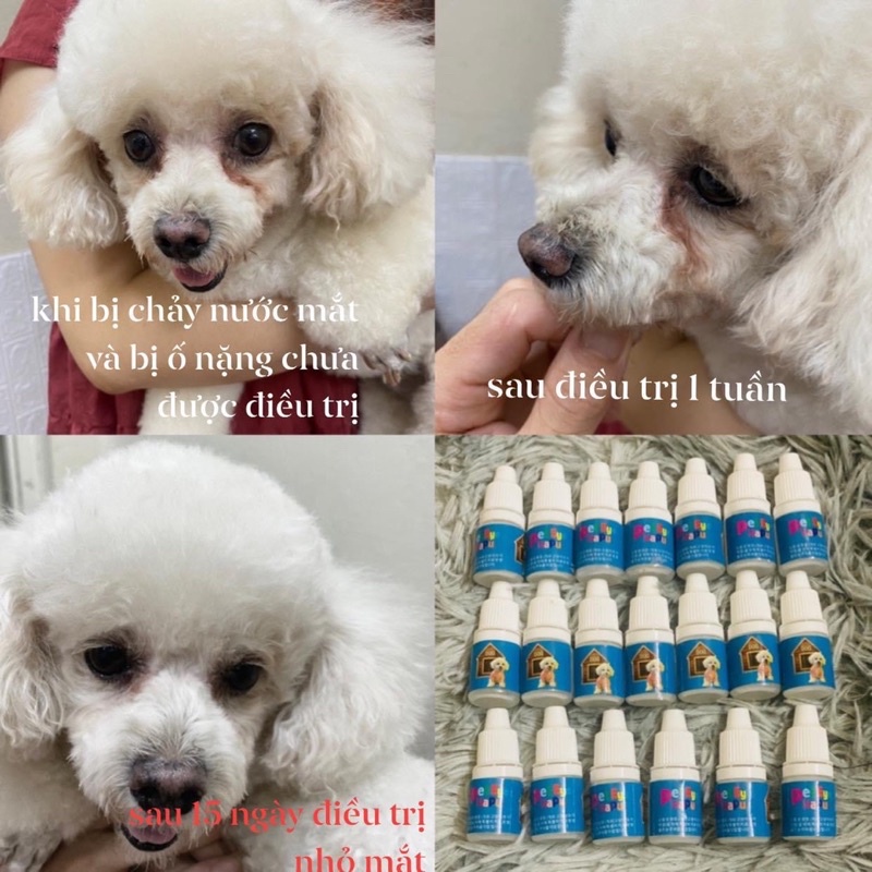 Dung dịch nhỏ rửa m.ắt,chảy nước m.ắt, tuyến lệ,gi.ác mạc cho Chó Mèo ( 5ML/ 1 lọ)