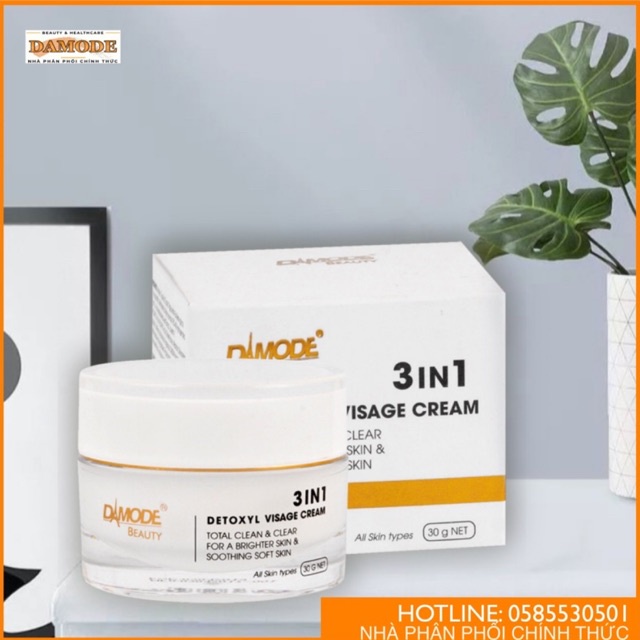 [ Chính Hãng ] Kem Rửa Mặt 3in1 Detoxyl Visage Cream - Damode | Shopee ...