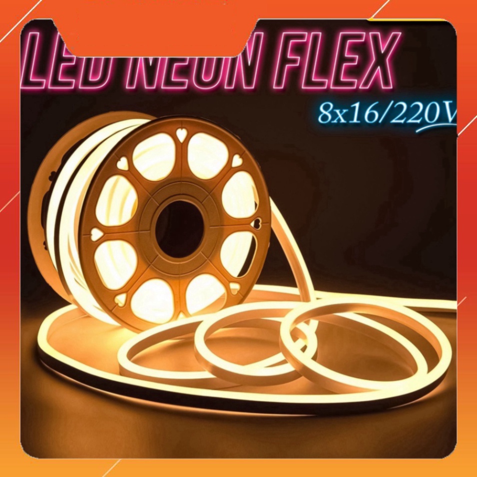 DÂY ĐÈN LED NEON 8x16mm 220V LOẠI 2 MẶT SANG 5m CÓ SẴN NGUỒN | Shopee ...
