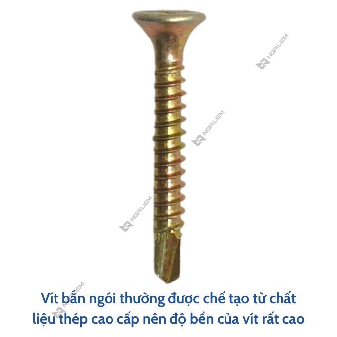 Vít Ngói Song Long 3F, 4F, 5F, 6F5, 7F5 (Chữ D loại Xịn VN) | Shopee ...