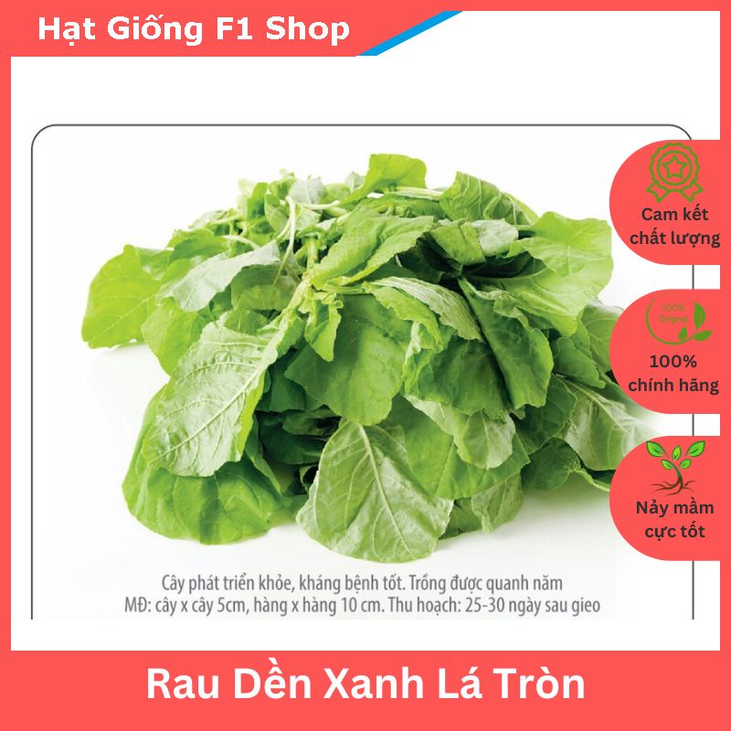 Hạt Giống Rau Dền Xanh Lá Tròn Ngon Mềm (20 Gam) | Shopee Việt Nam