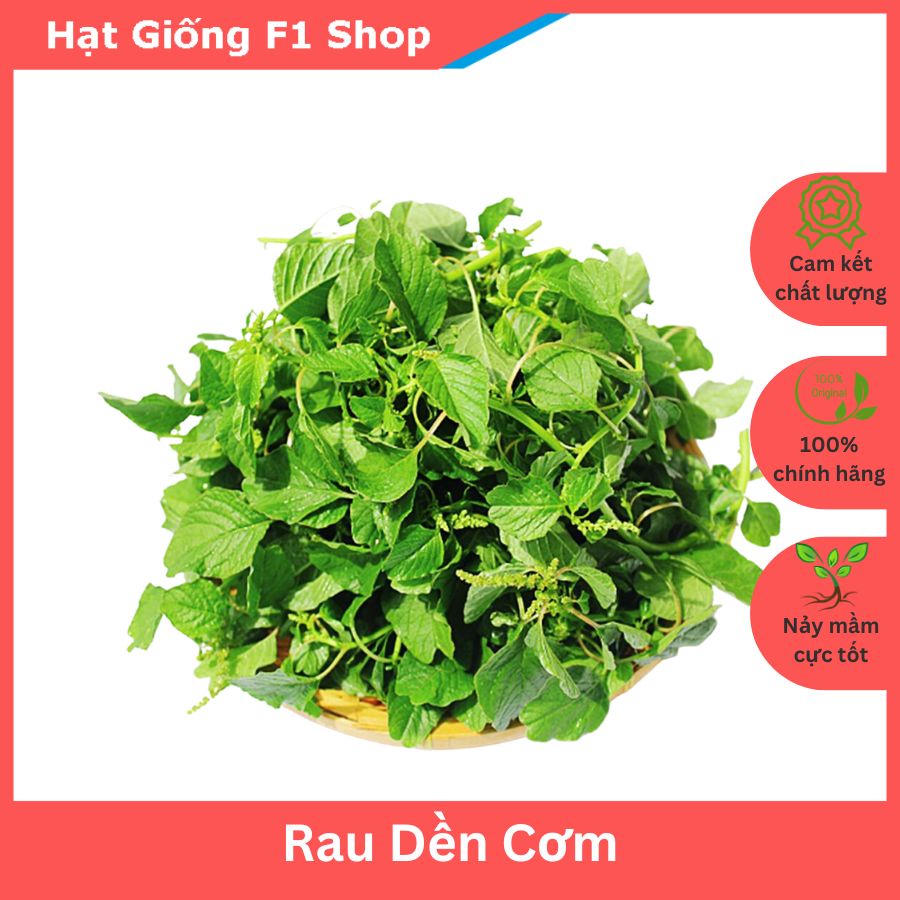Hạt Giống Rau Dền Cơm Thân To Ăn Ngon | Shopee Việt Nam