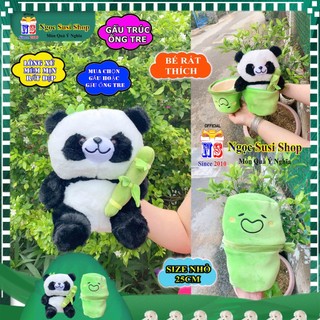 GẤU BÔNG HÌNH GẤU TRÚC ỐNG TRE SIÊU CƯNG DÀNH CHO BÉ YÊU - GIAO NHANH