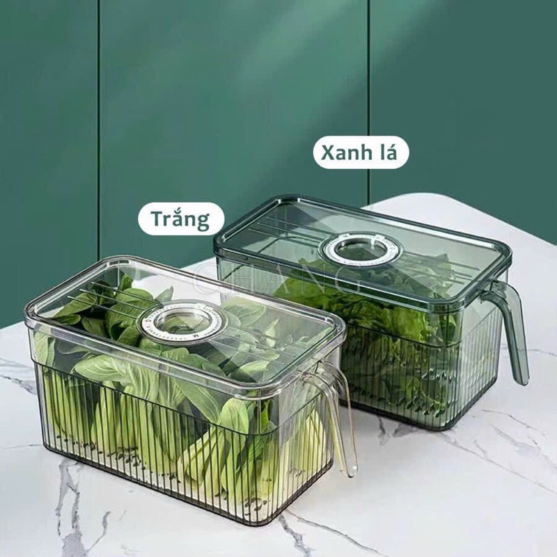 Hộp bảo quản hoa quả/ rau củ trong tủ lạnh 5L có tay cầm tách nước ...