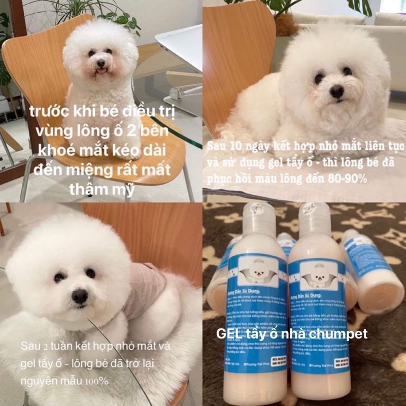Dung dịch gel tẩy vết ố lông Thú Cưng, Tẩy vết ố về màu ban đầu chuyên dụng thú cưng, tẩy là trắng