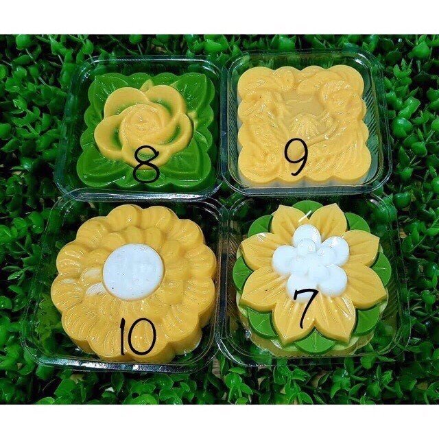 (30 mẫu) Khuôn Rau Câu, Rau Câu Trung Thu, Khuôn Thạch 9cm | Shopee ...