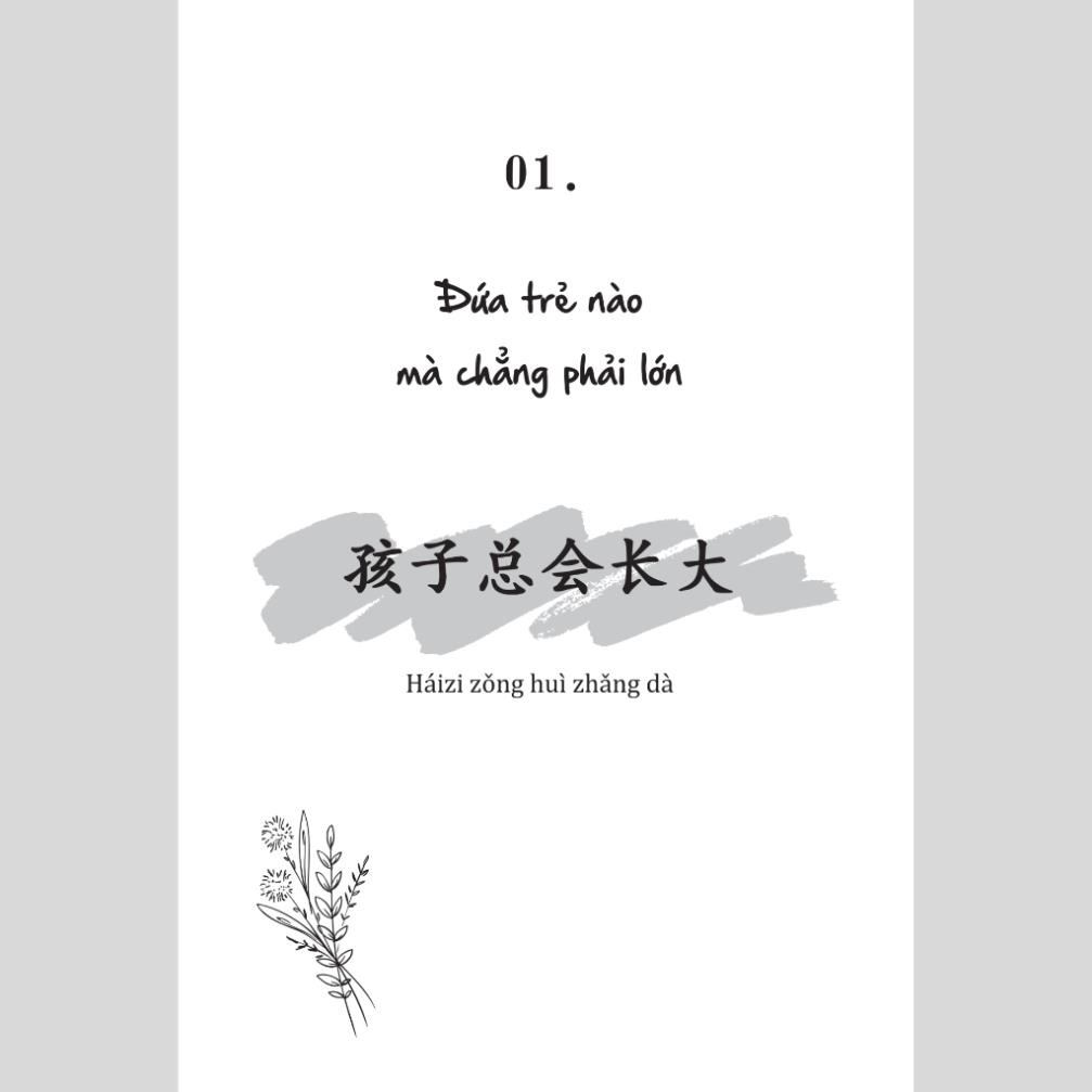 Ảnh Sách Chưa kịp lớn đã phải trưởng thành - Quyển 2 - 还没长大就要学着成熟了 - Phiên bản song ngữ Việt - Trung (TimeBooks) 2