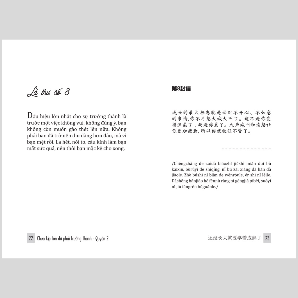 Ảnh Sách Chưa kịp lớn đã phải trưởng thành - Quyển 2 - 还没长大就要学着成熟了 - Phiên bản song ngữ Việt - Trung (TimeBooks) 4