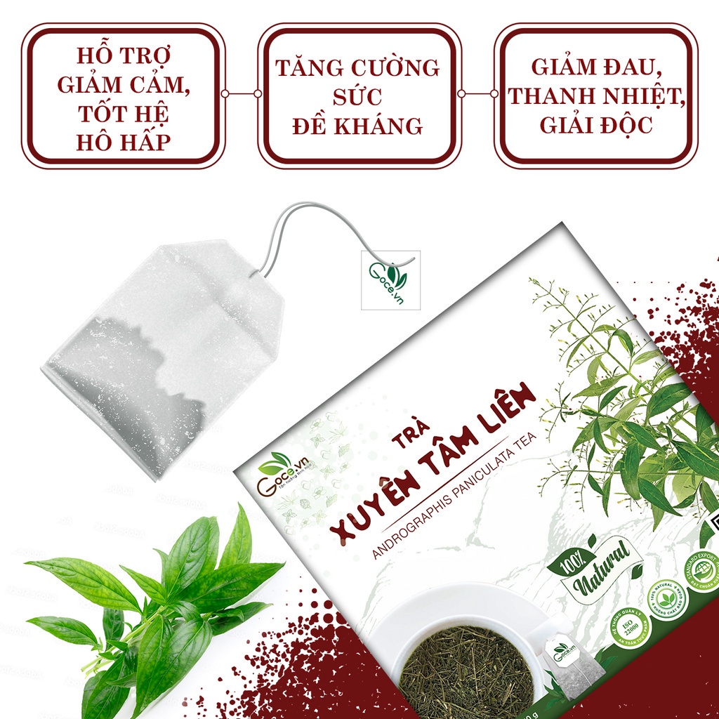 Product image Trà túi lọc Goce.vn xuyên tâm liên - 40g (20 túi x 2g) 4