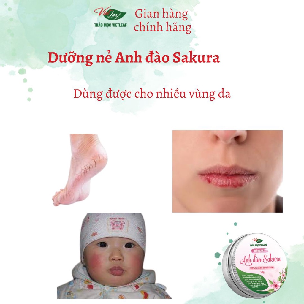 Dưỡng nẻ anh đào Thảo Mộc Vietleaf Sakura 10g VIETLEAF-DN10