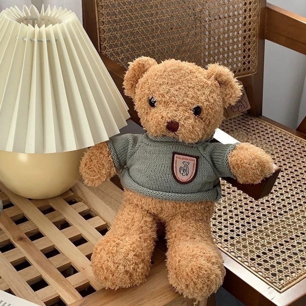 Teddy Head Tales