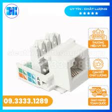 Nhân điện thoại cat3 Commscope chính hãng | Shopee Việt Nam