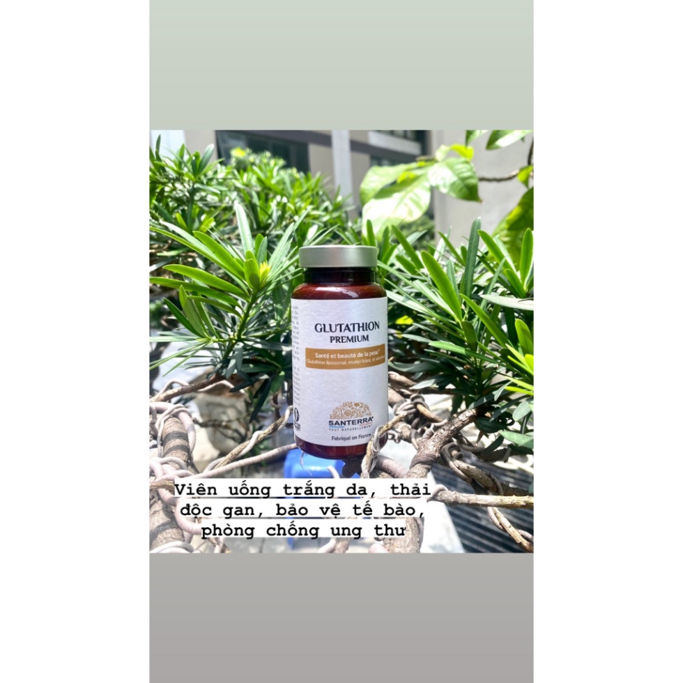 liposomal glutathione improves oral bioavailability Amazon.com: Quicksilver Scientific Liposomal Glutathione - Superior Absorption  Oral Glutathione Supplement for Detox & Immune Support