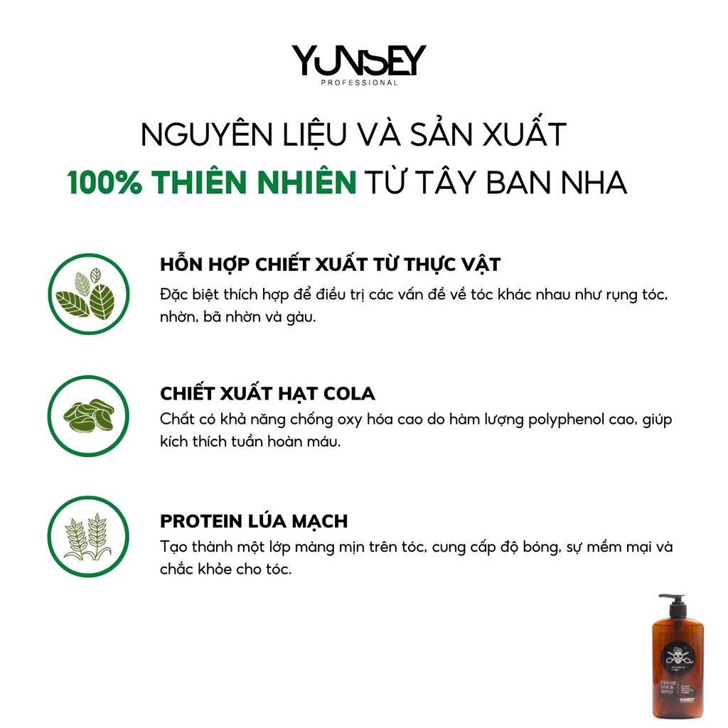 Ảnh Dầu Gội Làm Sạch Tóc Và Dưỡng Tóc Dành Cho Nam Yunsey Shampoo For Men 380Ml 2