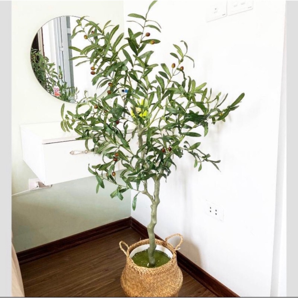 Cây Giả, Cây Ô Liu Cao 1m30 Cây Trang Trí Decor , Phụ Kiện Chụp Ảnh ...
