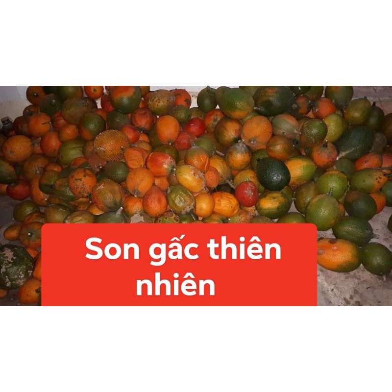son gấc hồng san hô sx Việt Nam chếch mã vạch chính hãng