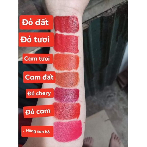 son lì son gấc thiên nhiên và son kem  nhung lì ( mua 2 cây tặng 1  sondưỡng kem có màu nhẹ )