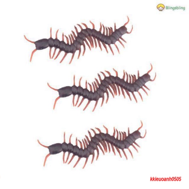 Con rết giả | Shopee Việt Nam
