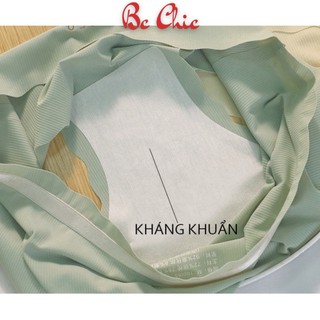 Quần lót nữ đúc su thun lạnh không viền Q 6688 , quần chíp nữ mềm mại kháng khuẩn thoáng khí BC_CHIC LINGERIE