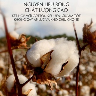 SET QUÂY NÔI CŨI,HOÀNG GIA VƯƠNG MIỆN CAO CẤP: Nệm, Gối, 4 Quây Vải [Chưa Gồm Cũi Gỗ]